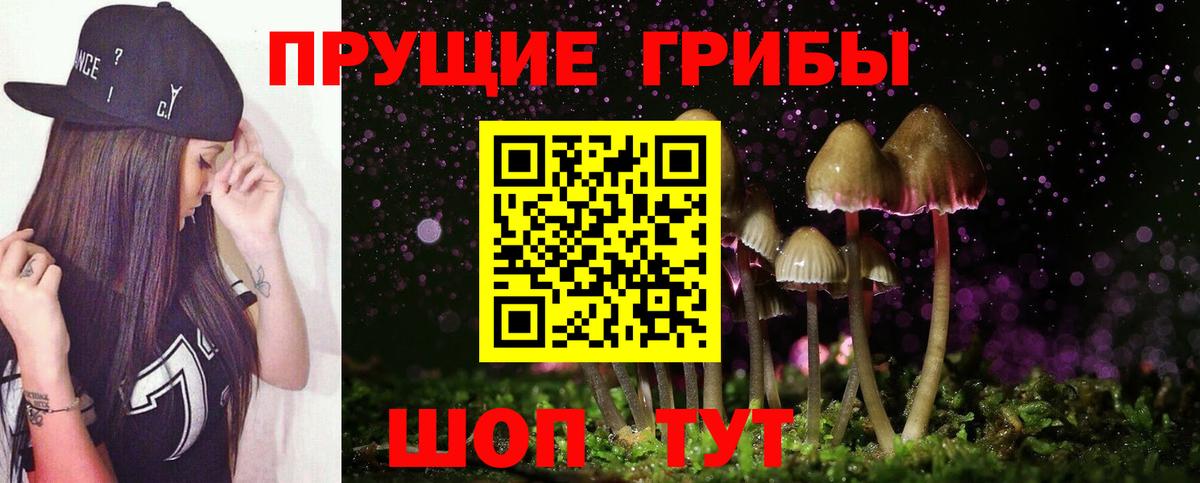 Галлюциногенные грибы Psilocybe Урюпинск