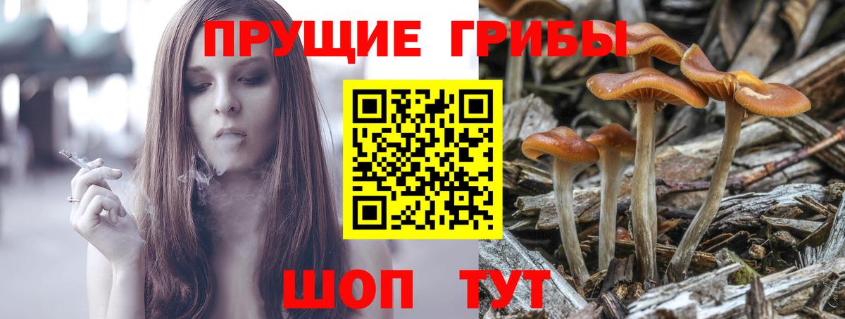 Псилоцибиновые грибы мухоморы  Вход с VPN  Псилоцибиновые грибы Cubensis  Урюпинск 