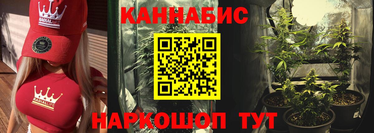 Шишки марихуана конопля Урюпинск